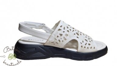 Aotoria basutės (37-42) White 3