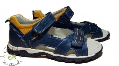 Clibee basutės (32-37) Blue/Yellow